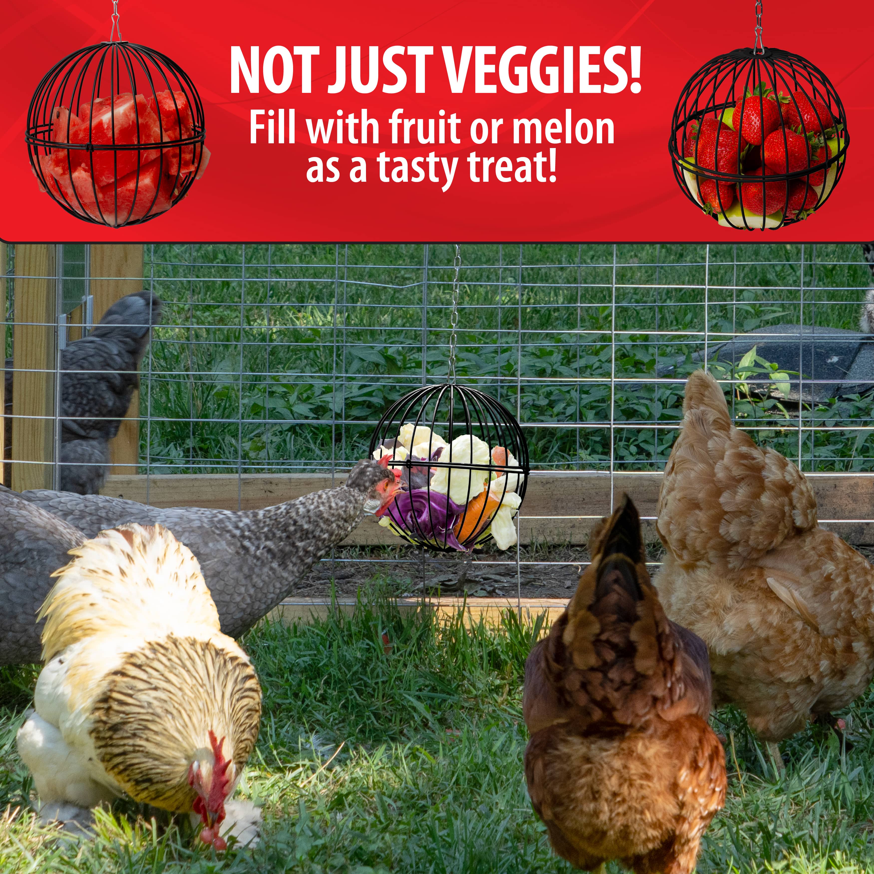 Producer's Pride Defender Extra-Large Chicken Coop, 18 Chicken Capacity At Tractor Supply Co